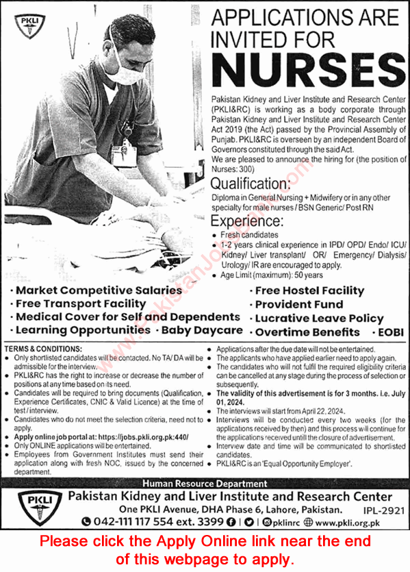 PKLI Jobs