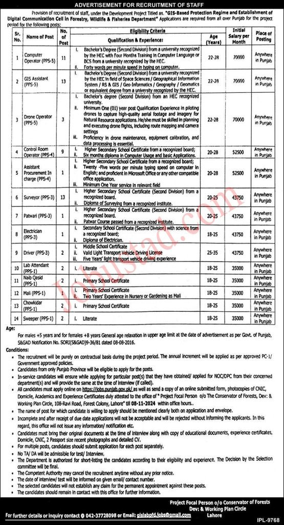 Fisheries Department Punjab Jobs 2024