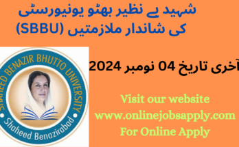 Shaheed Benazir Bhutto University Jobs 2024