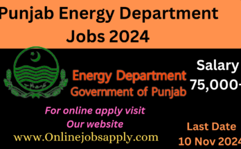 Punjab Energy Department Jobs 2024