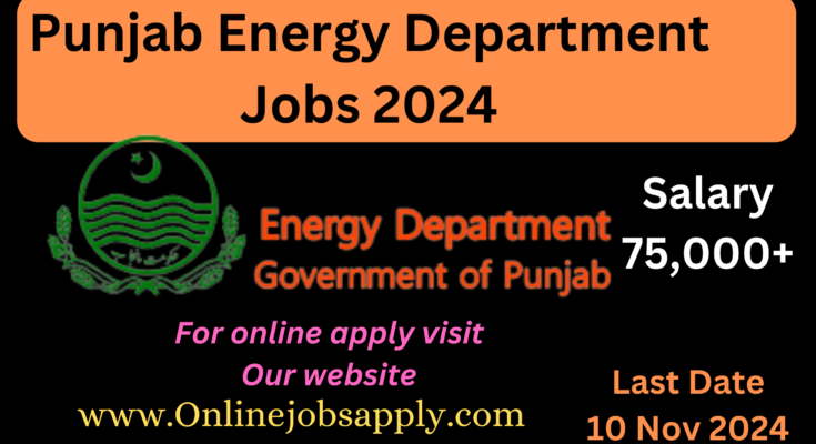 Punjab Energy Department Jobs 2024